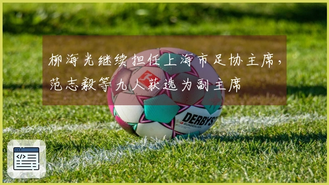 柳海光继续担任上海市足协主席，范志毅等九人获选为副主席