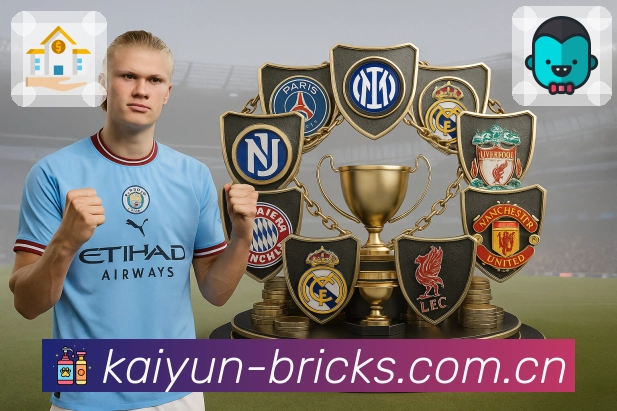 <strong>开云</strong>App 赛程列表示例